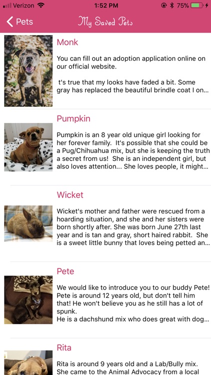 Pet Rescue Planner