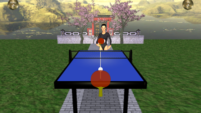 Zen Table Tennis Screenshot 2