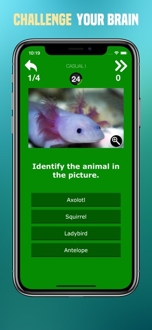 Animals Quiz - Pictures Trivia