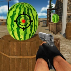 Activities of Watermelon Shooter