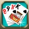 Icon Solitaire Card Game Collection