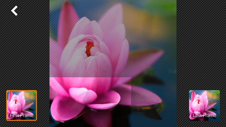 Stop Motion Plus screenshot-5