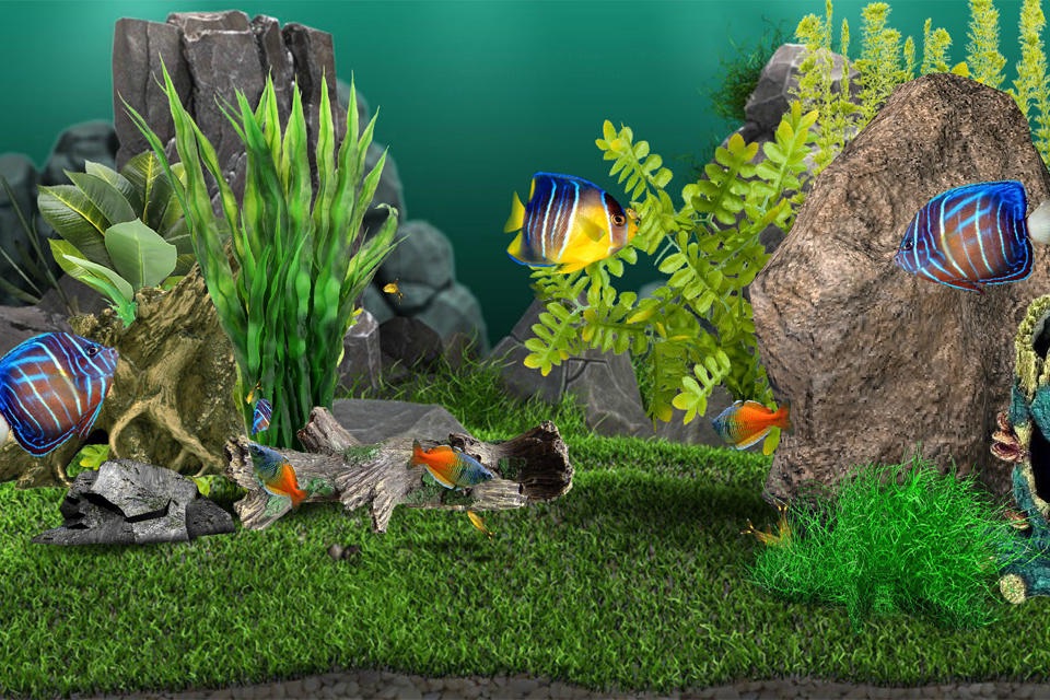 AquaLife 3D screenshot 4