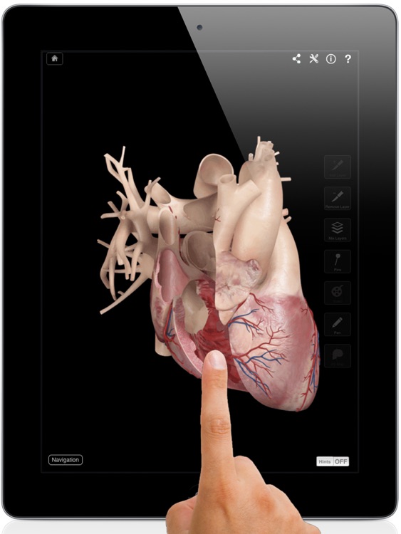 Heart Pro III