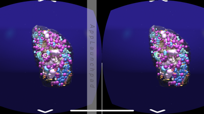 3D Plant Cell Organelles in VR screenshot 2