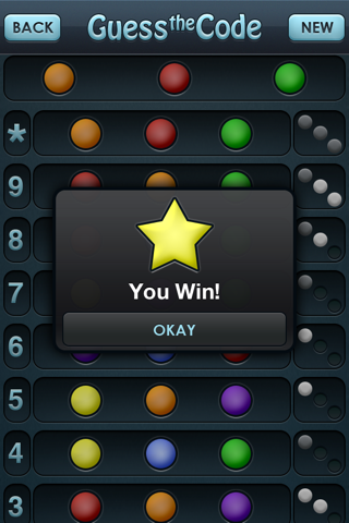 Guess the Code Pro - náhled