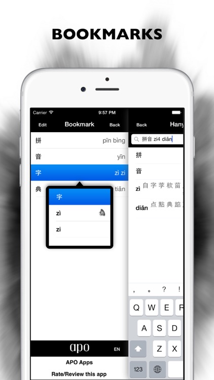 Hanyu Pinyin Dictionary Pro screenshot-3