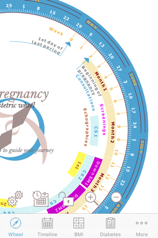 ezPregnancy screenshot 4