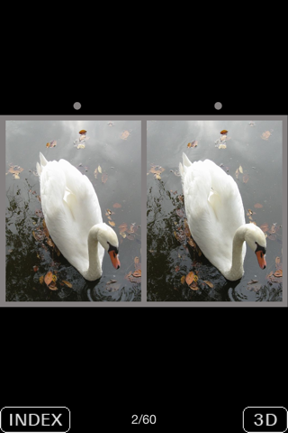 3D Popup Swan screenshot 4