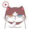 Stickers Kitty Animated