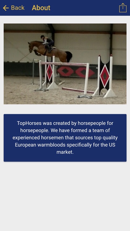 TopHorses LLC