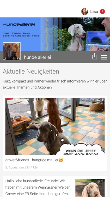hunde allerlei