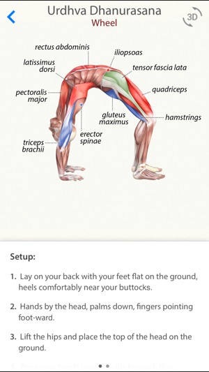 3D Yoga Anatomy(圖1)-速報App