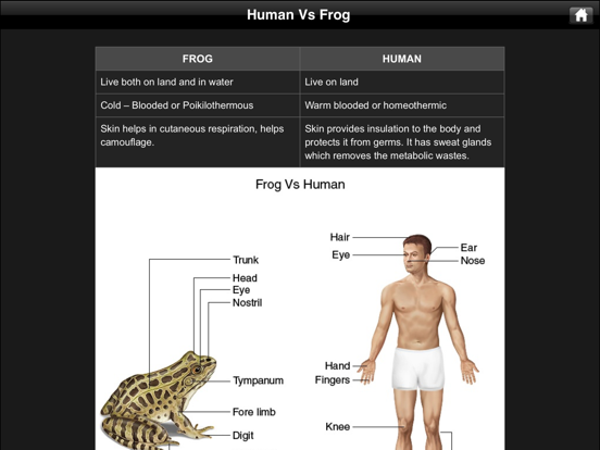 Frog Dissection Screenshot 2