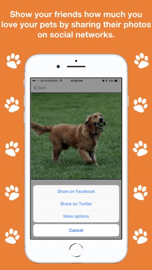 APPET Pet info organizer(圖5)-速報App