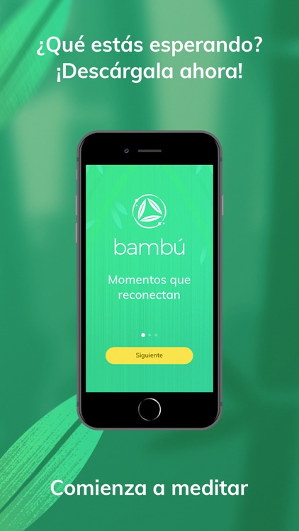 Bambú - Meditación screenshot-4