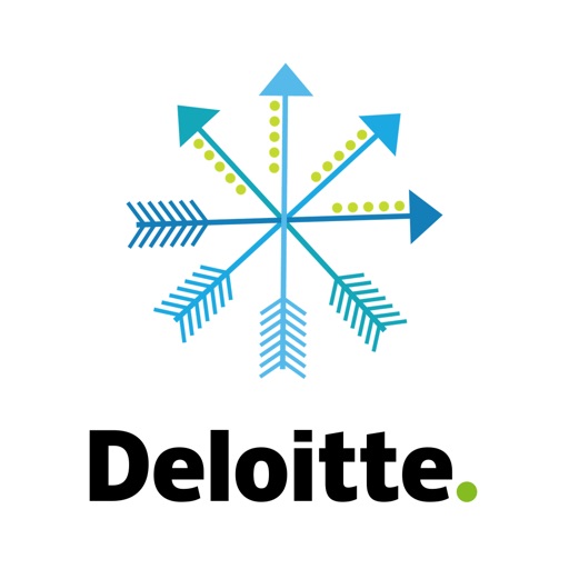 Deloitte Publikationen Icon