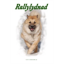 Rallylydnad