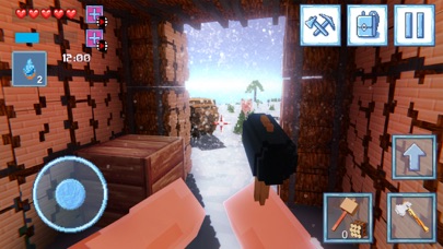 Survival 3D Winter Block screenshot 2