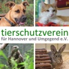 Tierschutzverein Hannover