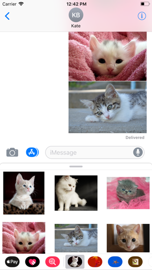 Kitten Sticker Pack(圖7)-速報App