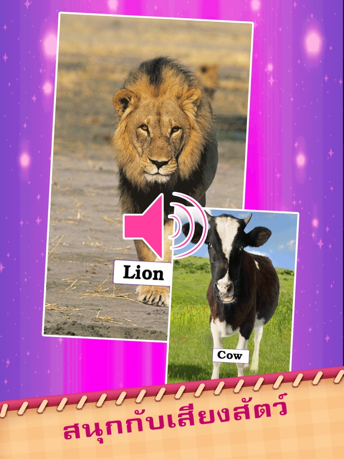 English Thai with flash card