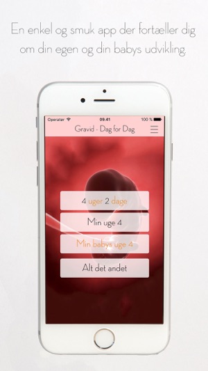 bedste gravid app bedste gravid app