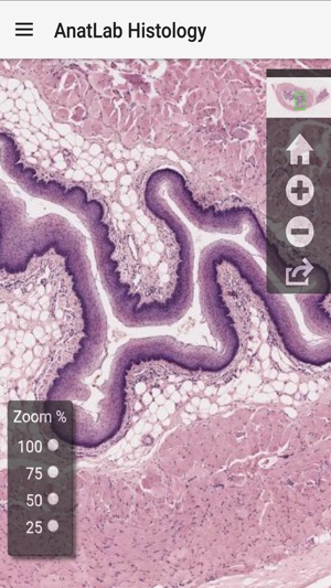 AnatLab Histology(圖1)-速報App