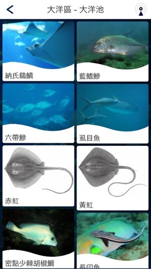 Ocean Life @海生館(圖3)-速報App