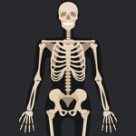 Anatomy Quiz Science Trivia