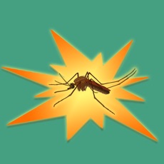 Activities of Mosquito Dash