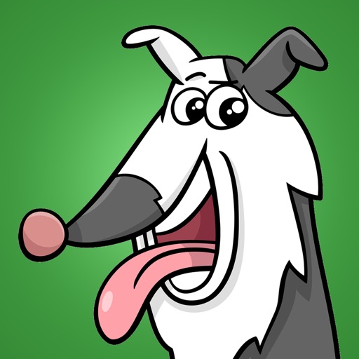 Sheep dog Championship