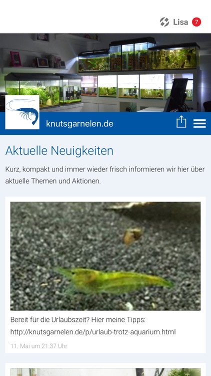 knutsgarnelen.de