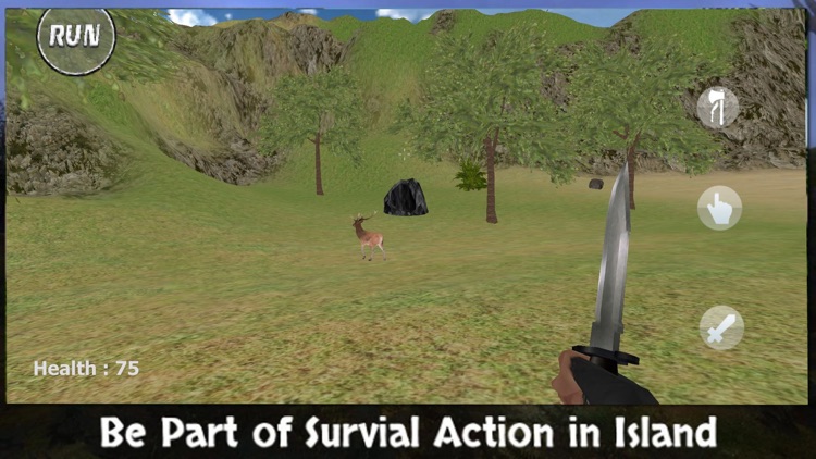 Army Survival Island