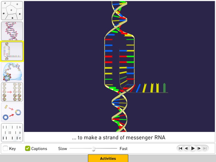 DNA from Sunflower Learning