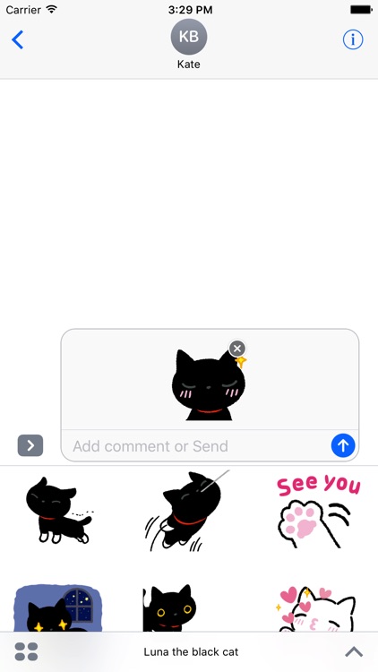 Luna the black cat