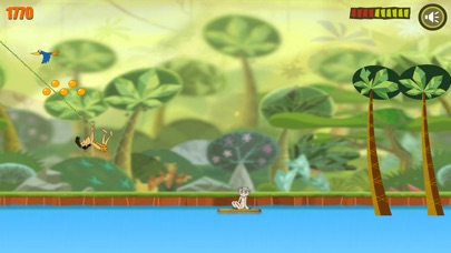 Jungle Adventure！ screenshot 3