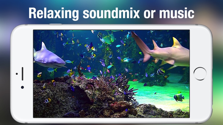 Aquarium Live HD screenshot-4