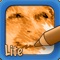 The photo-to-sketch app that stands out from the rest