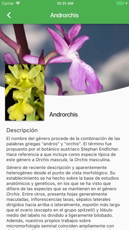 Iberian Orchids screenshot-4