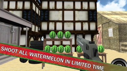 Watermelon Shooting Expert screenshot 2