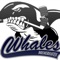 Dies ist die offizielle Bremerhaven Whales App