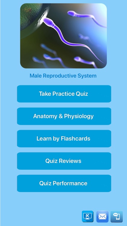 Male Reproductive System