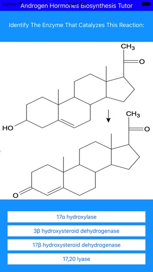 Androgen Hormones Tutor(圖3)-速報App