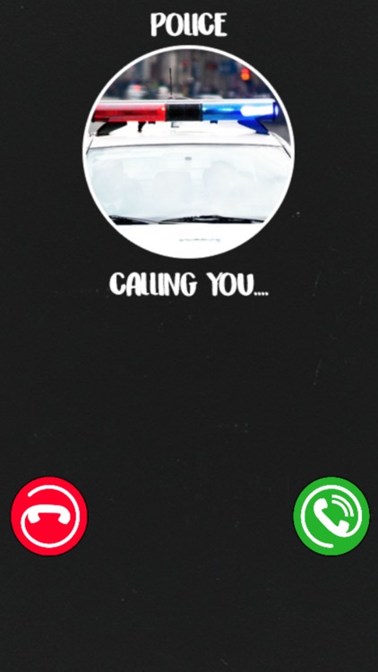 Calling Police screenshot-4