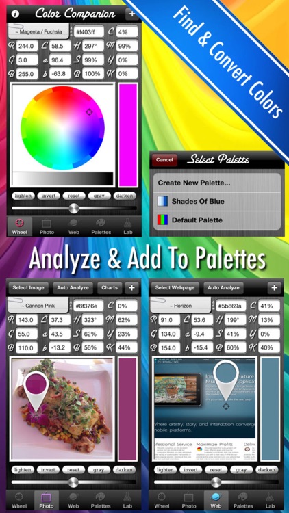 Color Companion - Analyzer & Converter