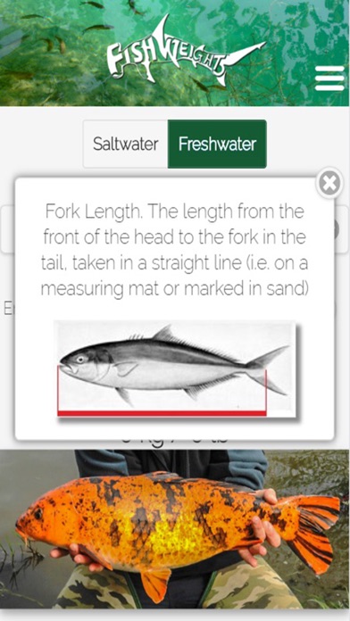 Fishweights New Zealand screenshot 4