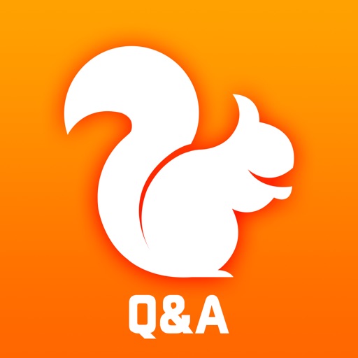 Q&A for UC Browser Icon