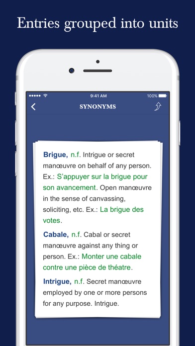 Mastering French Synonyms screenshot 3