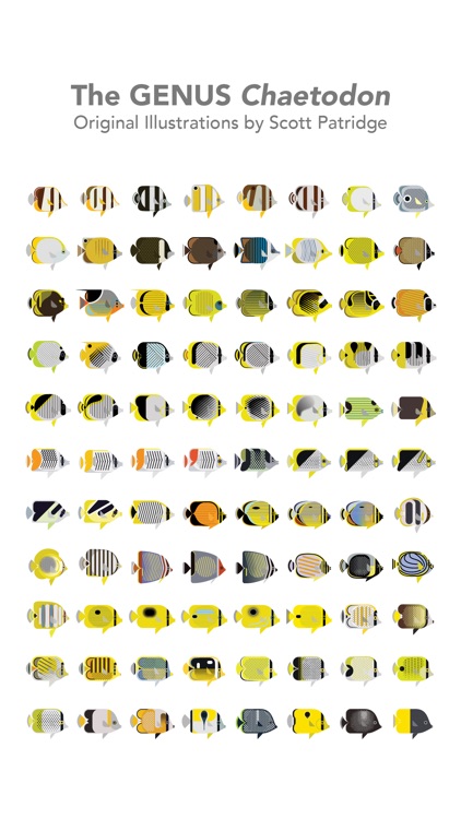 Butterfly Fish Stickers